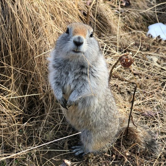 Meet your Posher, Claire - Picture 1 of 7